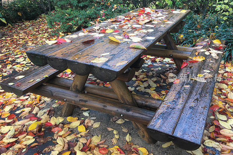 落叶落在木制的野餐桌上