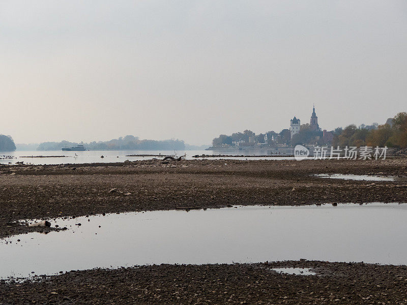 干河莱茵河