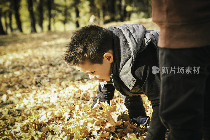 快乐的孩子们在大自然中玩耍-孩子们享受秋天的时光