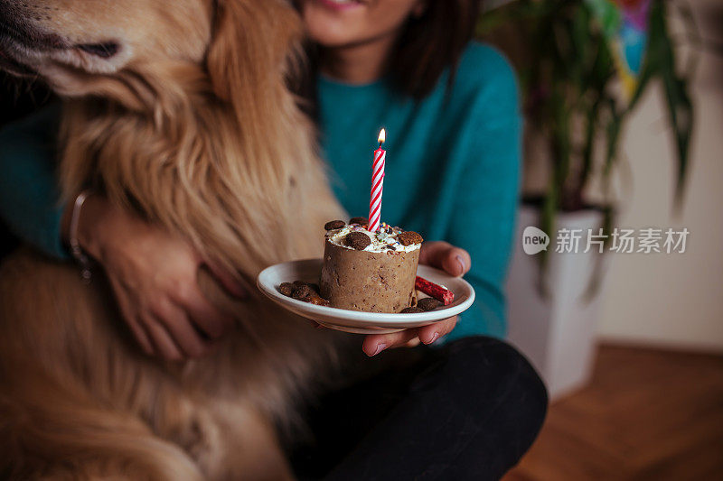 给我的狗庆祝生日