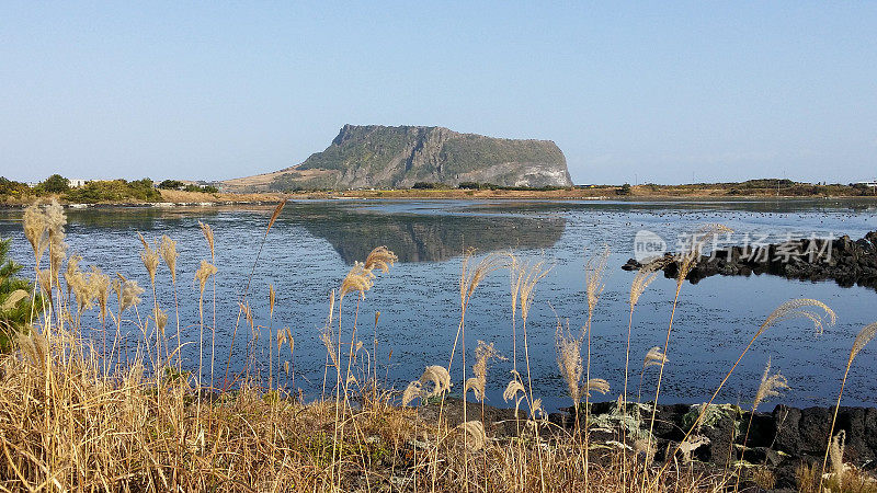 济州岛的秋天