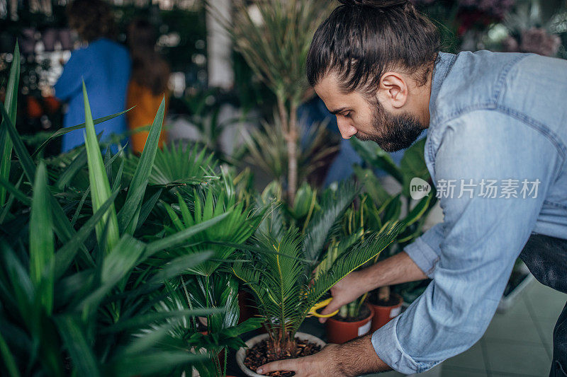 年轻的男性花匠正在照料植物