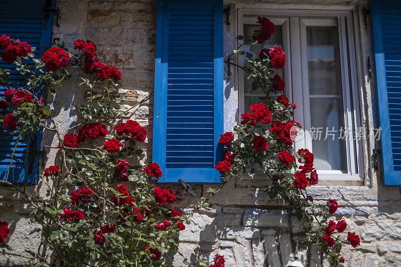 老房子正面的玫瑰。恰城对妇女实施,土耳其。