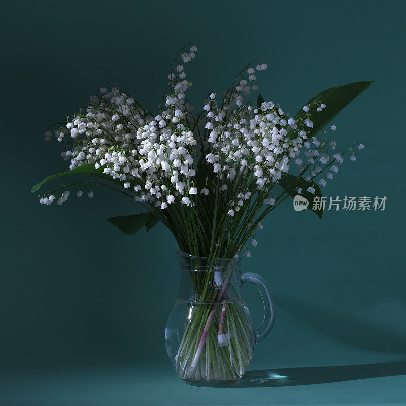 铃兰(铃兰)-花束在一个花瓶在一个黑暗的背景