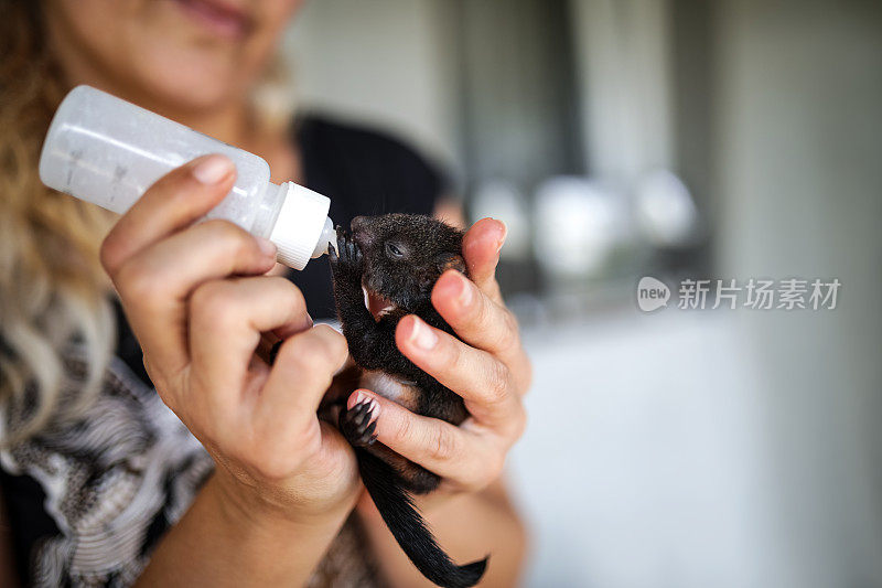 正在喂养小松鼠宝宝的女人