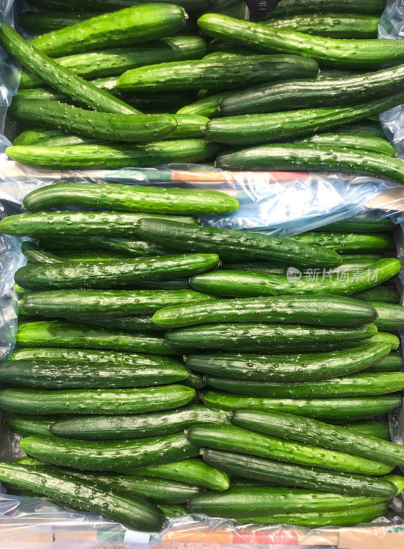 福岛县生产的黄瓜在横滨的市场上更受欢迎