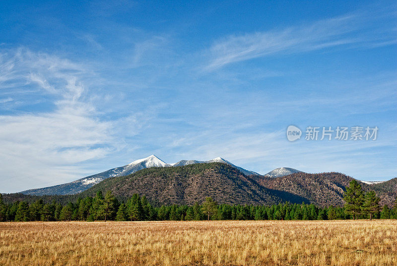 布法罗公园和旧金山峰