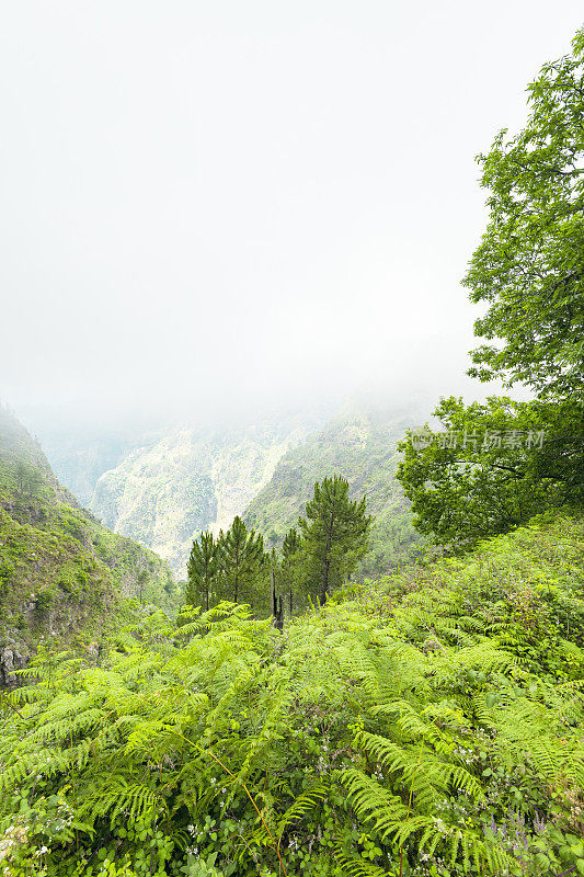 马德拉岛的埃拉多塞拉多高山上的景色