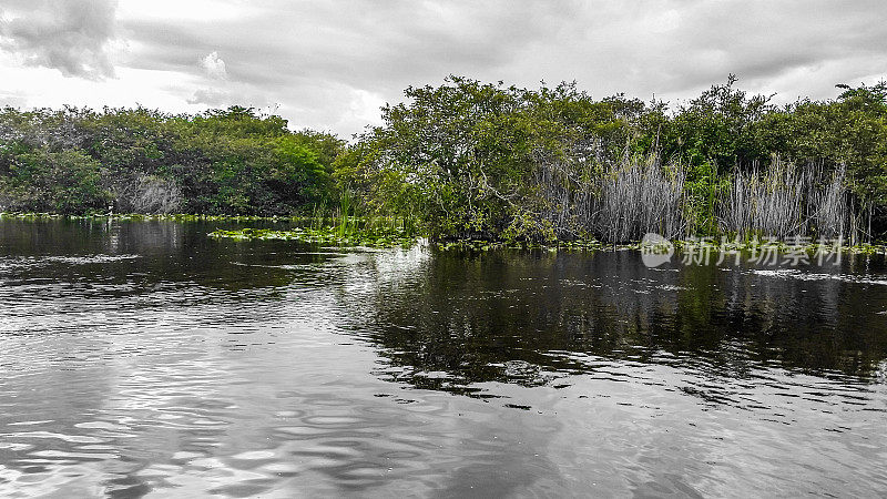 佛罗里达大沼泽地