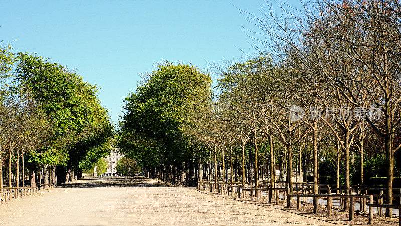 巴黎:欧洲新冠肺炎疫情期间，卢森堡花园空无一人。