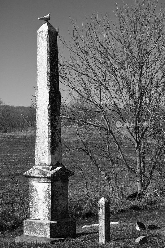 古色古香的乡村墓地墓碑上刻着鸟