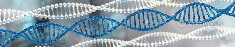 DNA螺旋，人类基因组