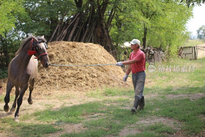 训练和马