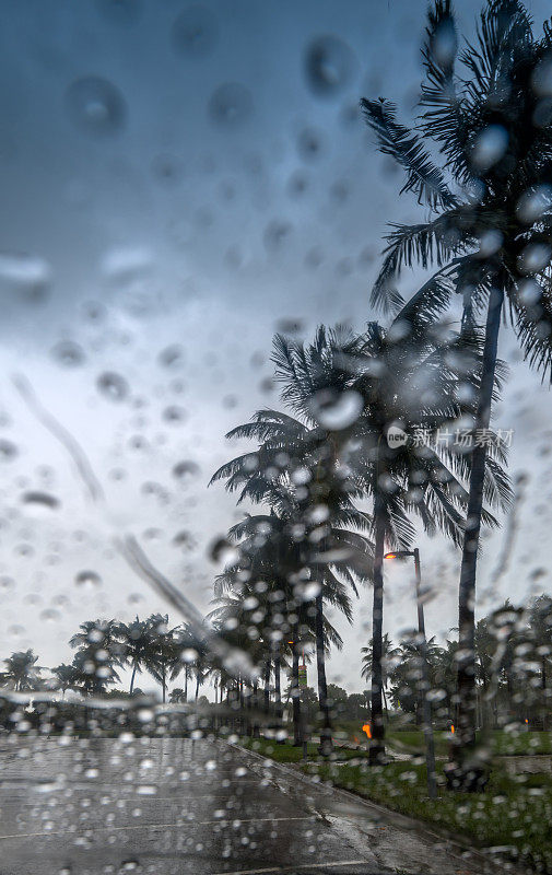 热带雨