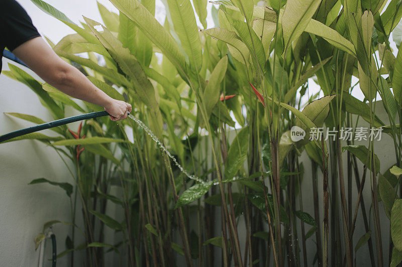 亚洲华人妇女在阳台上用水管浇水