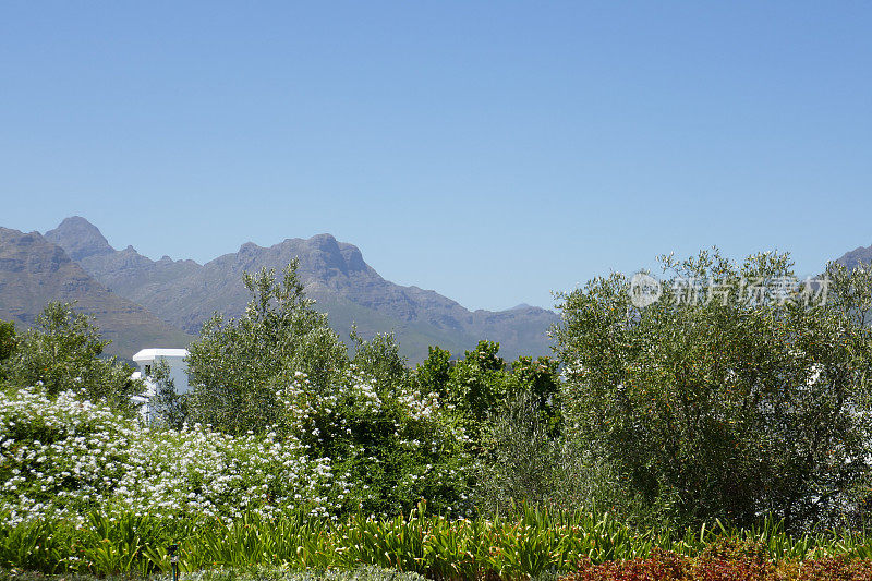 Stellenbosch葡萄酒之乡，南非