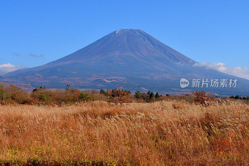 静冈县Fujinomiya的富士山和旭木高原的秋色