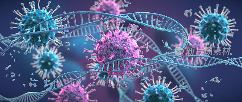 蓝色和紫色的病毒细胞攻击缠绕缠绕的DNA链