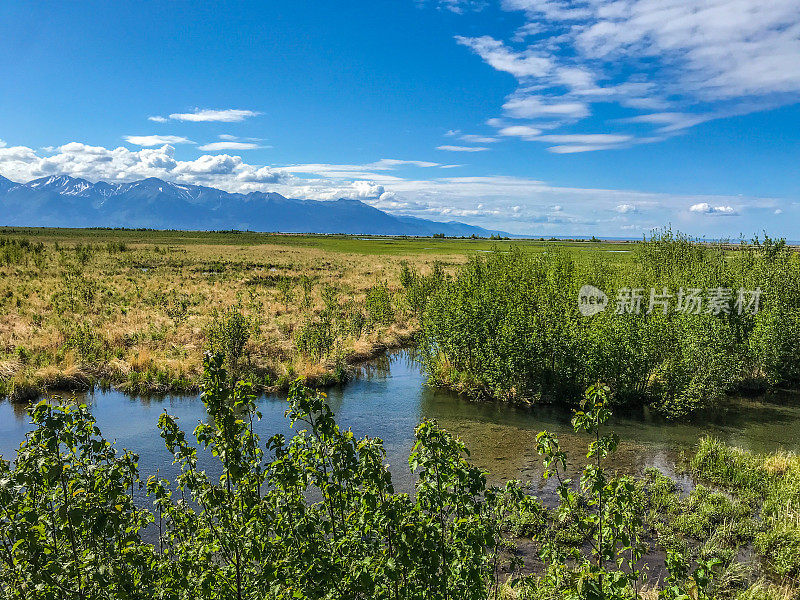 鸟类和湿地保护区-波特沼泽附近的安克雷奇，阿拉斯加