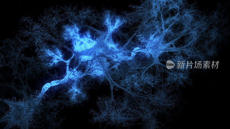 神经元系统全息图