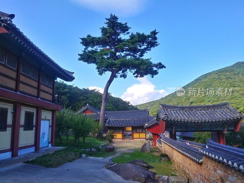 韩国釜山范尾寺的景观