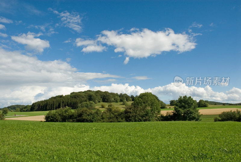 夏天的风景