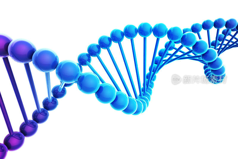 白色背景上的蓝色DNA螺旋