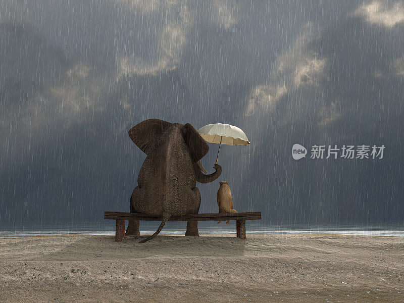 大象和狗坐在雨下