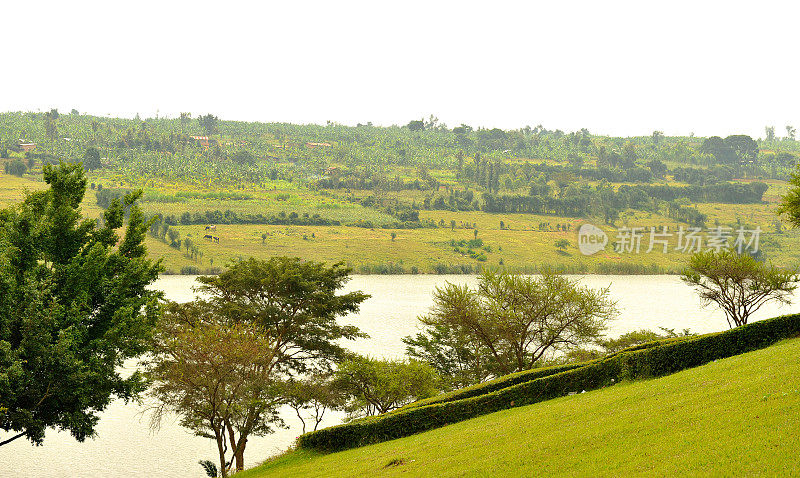 卢旺达:鲁瓦马加纳附近的穆哈奇湖