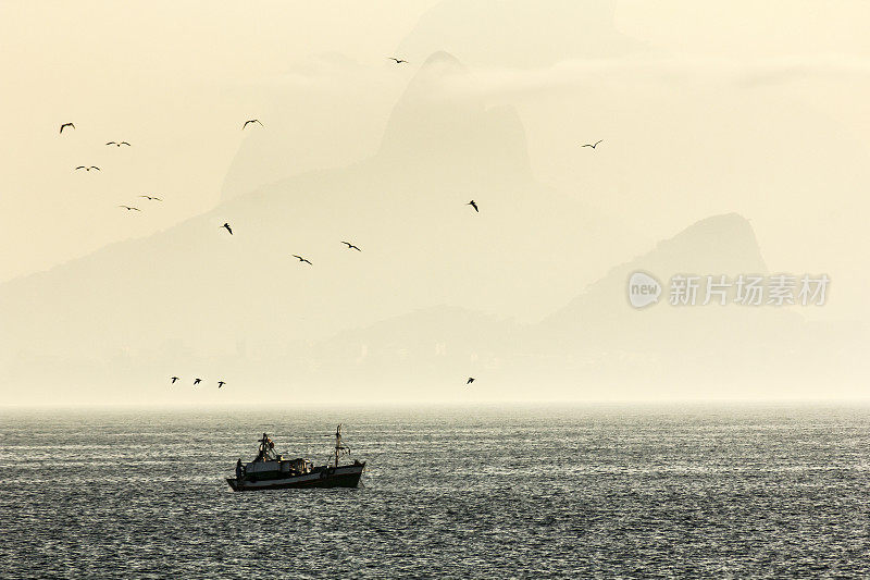 迷雾海中被海鸥包围的渔船