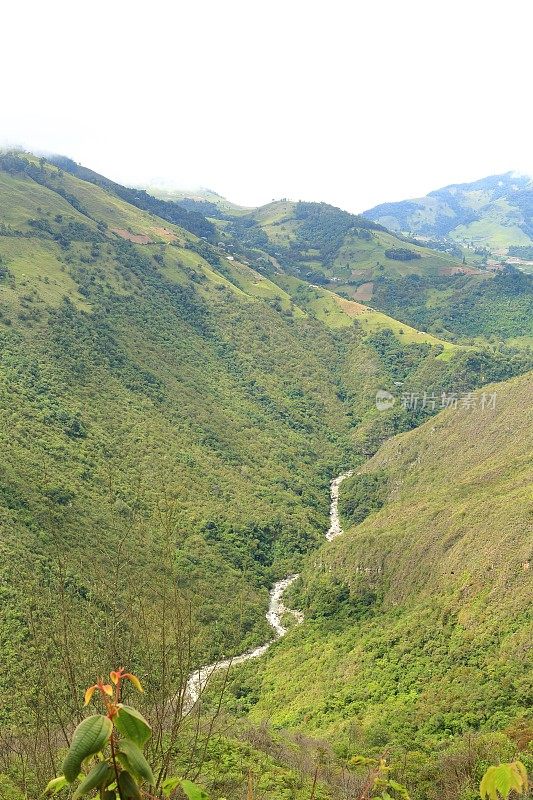 河流在高山之间奔流