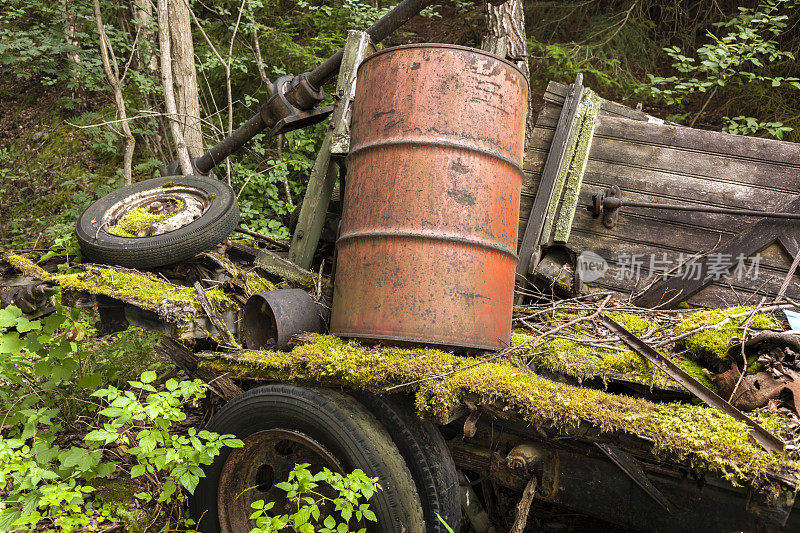 被遗弃的生锈汽车残骸藏在森林里