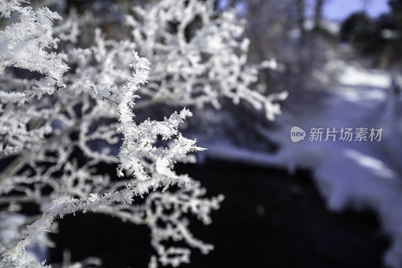 白雪皑皑的小溪