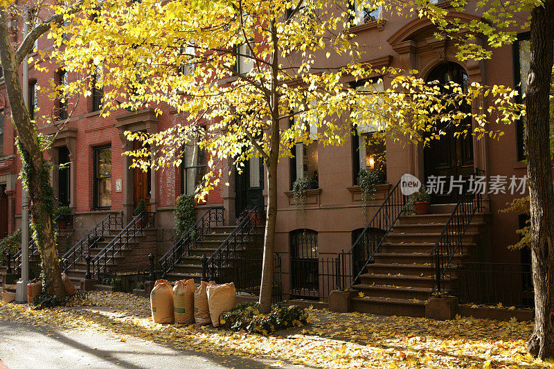 布鲁克林历史褐石联排别墅的落叶