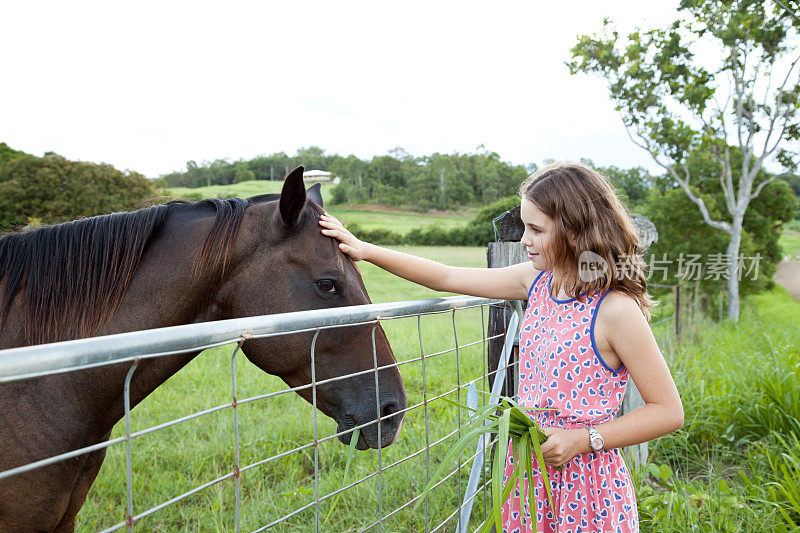 一个少女在农场拍马