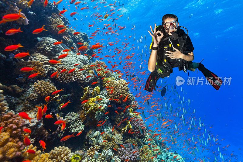 戴水肺的潜水员在珊瑚礁上探险，显示出良好的迹象
