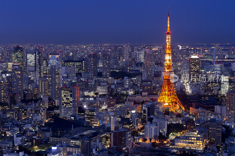 东京城市视图