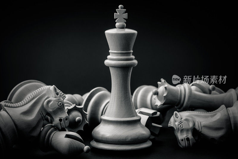黑棋和白棋的国王和骑士的设置
