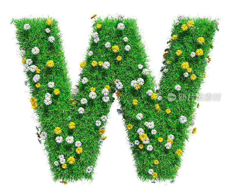 绿色的草和花的字母W