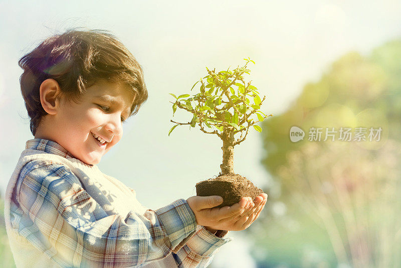 小男孩抱着盆景树