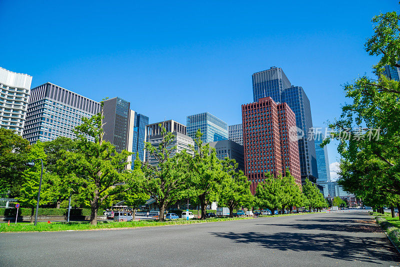 城市市区的天际线