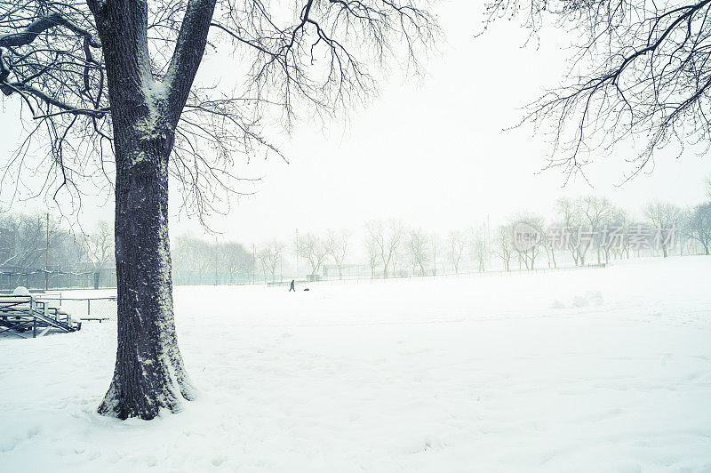 加拿大蒙特利尔下雪了。