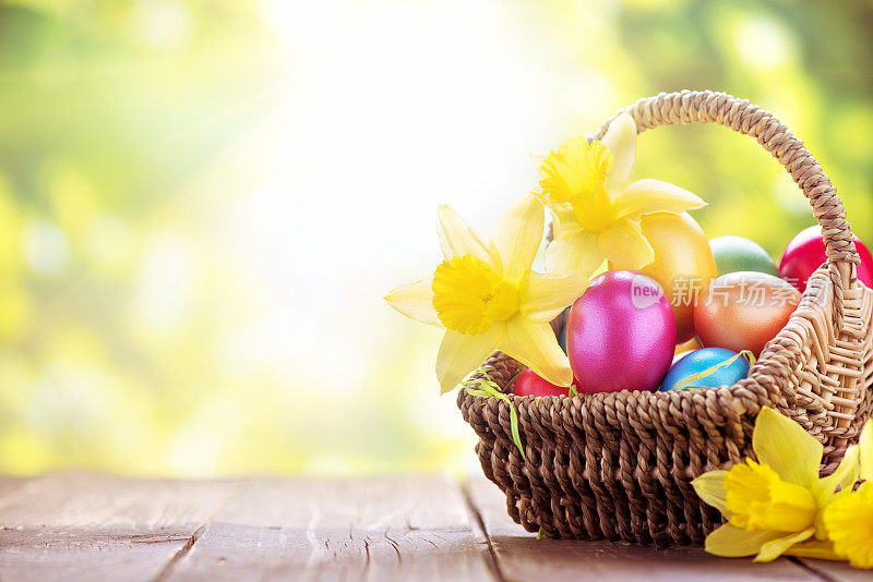 五彩缤纷的复活节彩蛋和水仙花在绿色的自然背景上