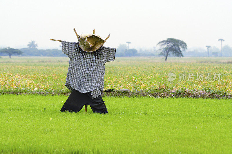 稻草人