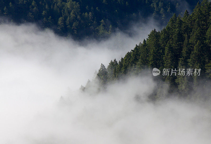 山谷雾诡异地爬上山坡