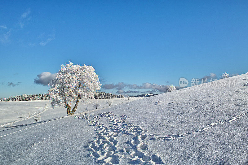 Schauinsland的冬季景观