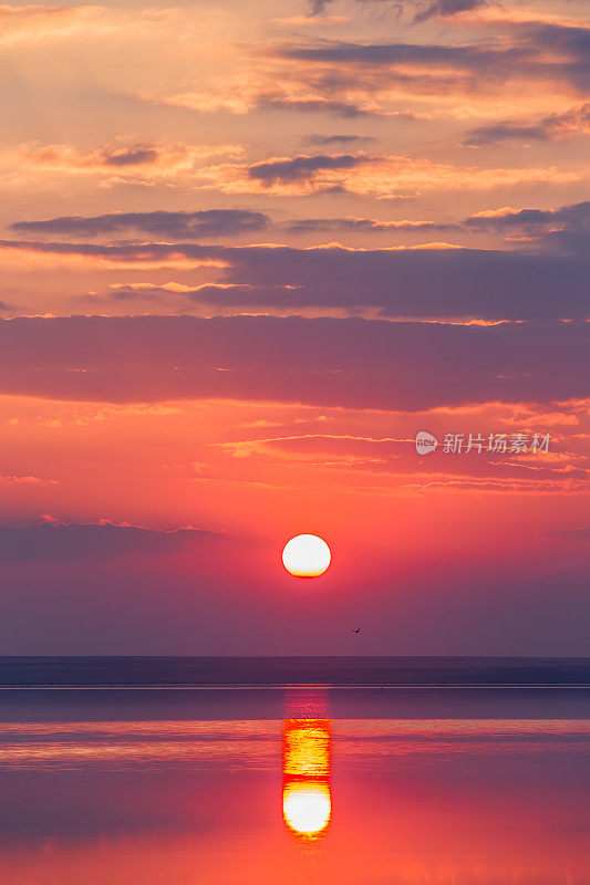 盐湖日落与飞鸟