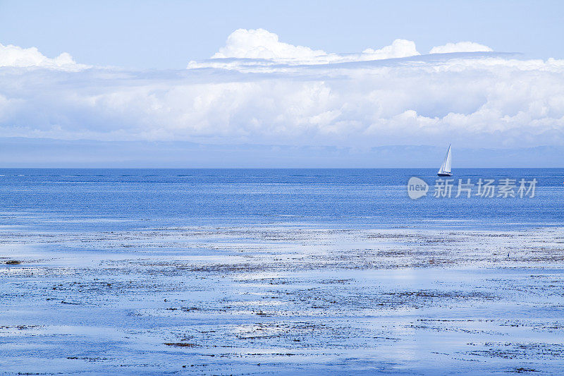 在深蓝色的海水里航行