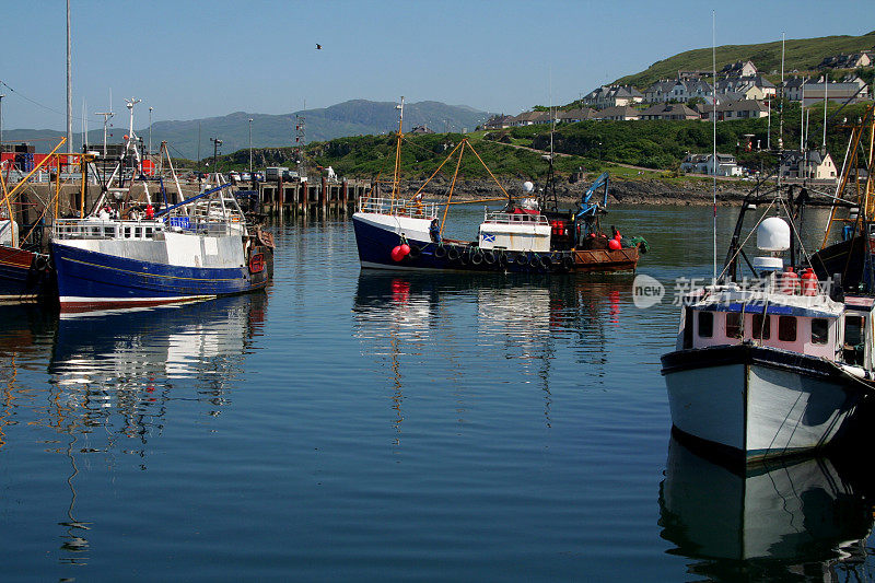 英国苏格兰马莱格港口的渔船