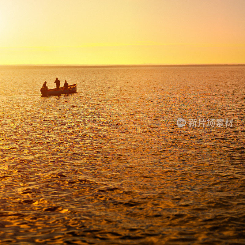 金色日落钓鱼，倾斜镜头